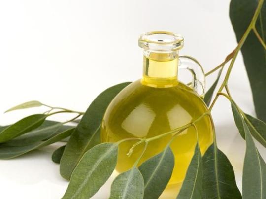 751747 картинка каталога «Производство России». Продукция Эвкалиптовое масло эфирное, г.Оренбург 2025