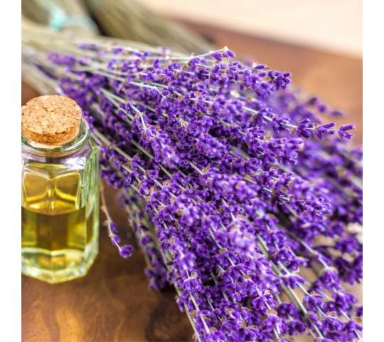 751764 картинка каталога «Производство России». Продукция Масло Лавандовое эфирное в объемах, г.Оренбург 2025