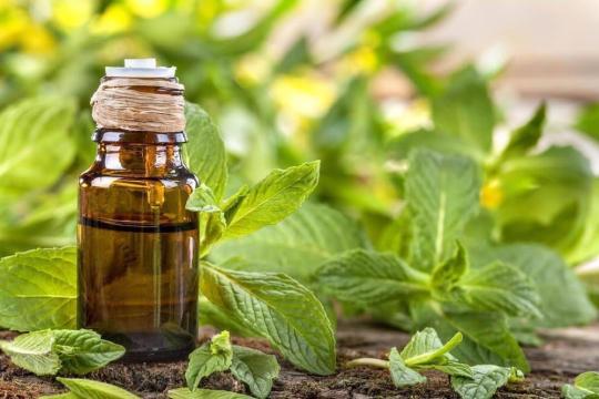751804 картинка каталога «Производство России». Продукция Масло Мяты перечной эфирное в объеме, г.Оренбург 2025