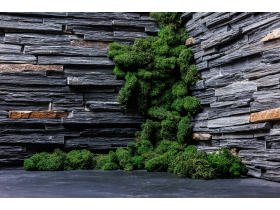 3D панели RKS SLATE Сланец Cape Skagen Country