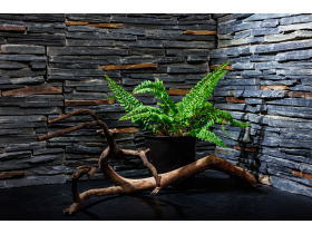 3D панели RKS SLATE Сланец Cape Skagen Country