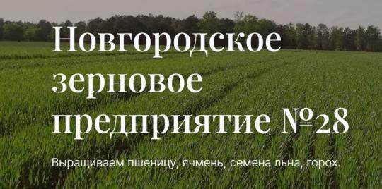 Фото №4 на стенде «Новгородское Зерновое Предприятие № 28», г.Великий Новгород. 752358 картинка из каталога «Производство России».