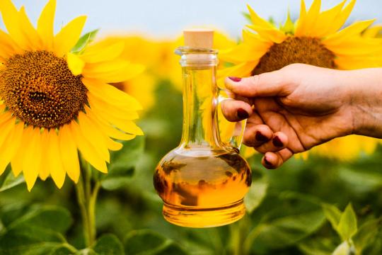 752511 картинка каталога «Производство России». Продукция Масло подсолнечное первого сорта, г.Безенчук 2025