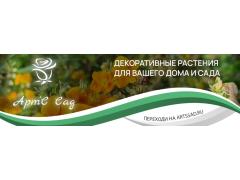Питомник растений «АртС'сад»