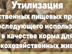Переработка некачественных пищевых продуктов в корма: технологии, законодательство и бизнес-перспективы