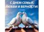СОЭМИ поздравляет с Днём семьи, любви и верности!