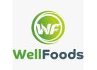 WellFoods (ИП Фазуллин Ильнур Ришатович)