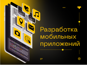 Производитель ПО «Coding Team»