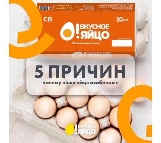 Фото 3 Птицеводческое предприятие «Выксунское», г.Выкса