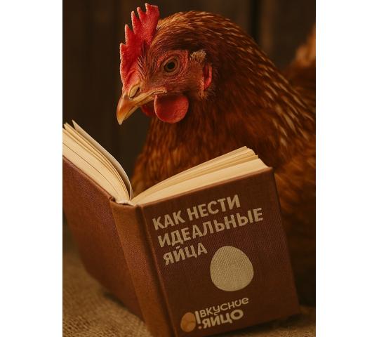 Фото 6 Птицеводческое предприятие «Выксунское», г.Выкса