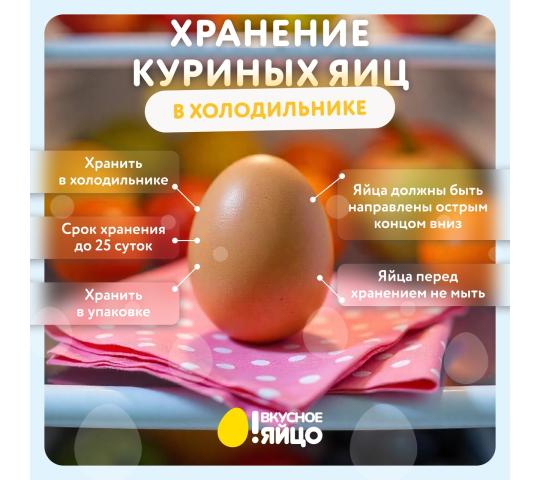 Фото 8 Птицеводческое предприятие «Выксунское», г.Выкса