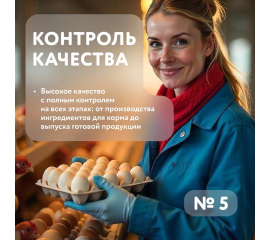 Фото 9 Птицеводческое предприятие «Выксунское», г.Выкса