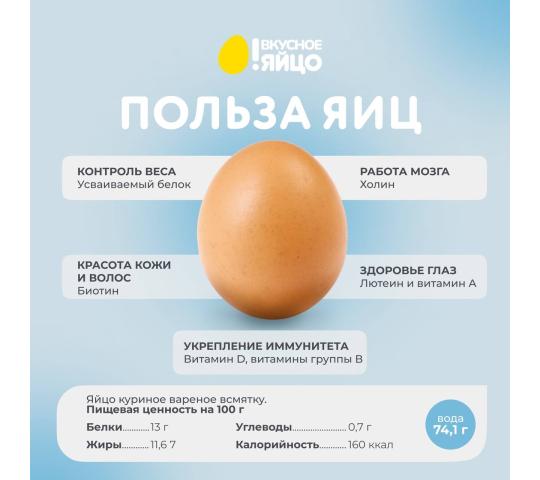 Фото 10 Птицеводческое предприятие «Выксунское», г.Выкса