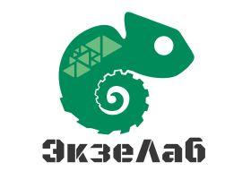 Производитель изделий 3D-печати «ЭкзеЛаб»