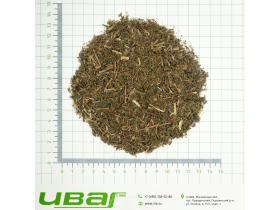 Багульник побеги резаные