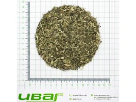 Крапива трава