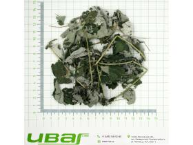 Малина лист в ассортименте