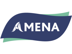 Производитель салфеток «AMENA»