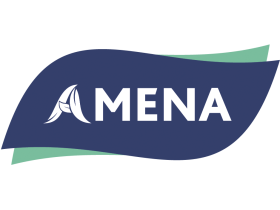 Производитель салфеток «AMENA»