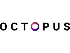 Швейная фабрика «Octopus»