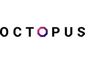 Швейная фабрика «Octopus»
