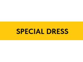 Швейная компания «Special Dress»
