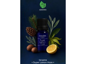 SEEDEX