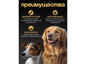 Полнорационный корм для собак