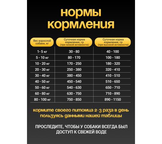 764885 картинка каталога «Производство России». Продукция Полнорационный корм для собак, г.Фатеж 2025 Фото 3 Полнорационный корм для собак, г.Фатеж 2025