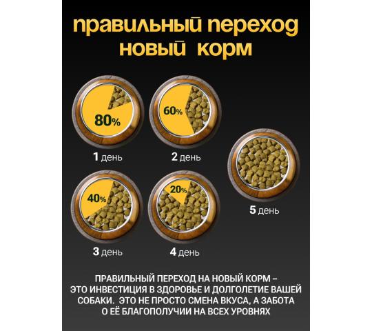 764886 картинка каталога «Производство России». Продукция Полнорационный корм для собак, г.Фатеж 2025 Фото 4 Полнорационный корм для собак, г.Фатеж 2025