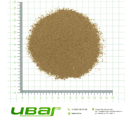 Фото 2 Тмин молотый в/с, г.Пушкино 2025