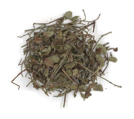 765328 картинка каталога «Производство России». Продукция Черника побеги, г.Пушкино 2025