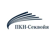 Производитель РТИ из силикона «ПКН-Секвойя»