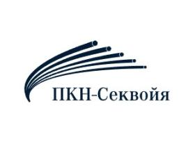 Производитель РТИ из силикона «ПКН-Секвойя»