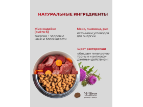 Хвостатые истории