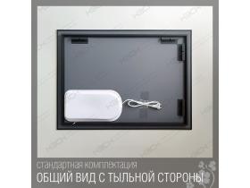 7250608ску