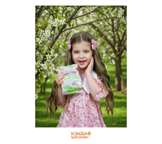 Фото №8 на стенде Производитель фруктовых снеков «Кэнди-Шмэнди», г.Тула. 766069 картинка из каталога «Производство России». Фото 8 Производитель фруктовых снеков «Кэнди-Шмэнди», г.Тула