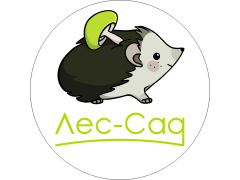 Производственная компания «Лесторфмаш»