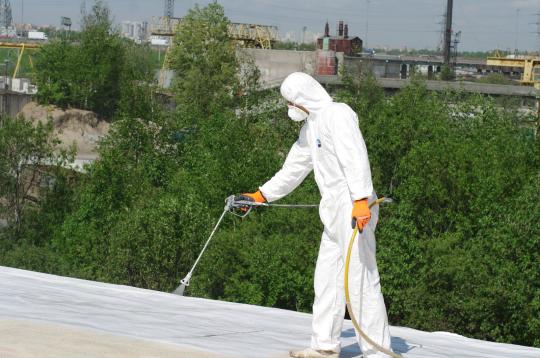 767204 картинка каталога «Производство России». Продукция ДЕЛЬС ВР - мастика полимерная кровельная, г.Санкт-Петербург 2025