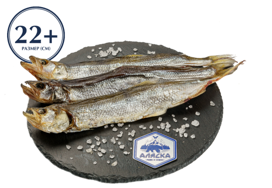 767520 картинка каталога «Производство России». Продукция Корюшка вяленая премиум, г.Воронеж 2025 767520 картинка каталога «Производство России». Продукция Корюшка вяленая премиум, г.Воронеж 2025