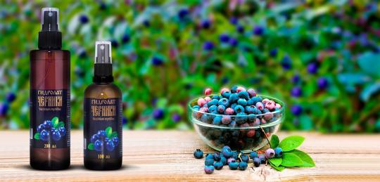 767752 картинка каталога «Производство России». Продукция Природные тоники (гидролаты), г.Киров 2025 Фото 1 Природные тоники (гидролаты), г.Киров 2025