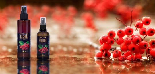 767754 картинка каталога «Производство России». Продукция Природные тоники (гидролаты), г.Киров 2025 767754 картинка каталога «Производство России». Продукция Природные тоники (гидролаты), г.Киров 2025