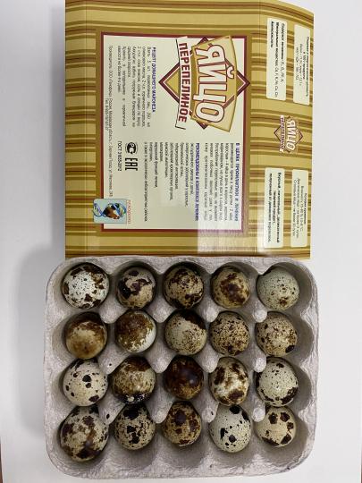 Фото №3 на стенде Генофонд, г.Сергиев Посад. 767959 картинка из каталога «Производство России». Фото 3 Генофонд, г.Сергиев Посад