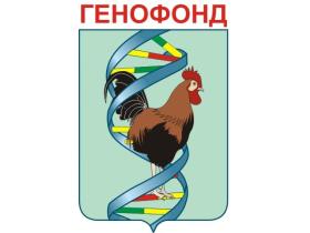 Генофонд