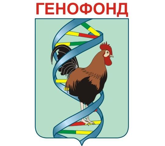 767968 картинка каталога «Производство России». Продукция яйцо перепелиное, г.Сергиев Посад 2025 767968 картинка каталога «Производство России». Продукция яйцо перепелиное, г.Сергиев Посад 2025