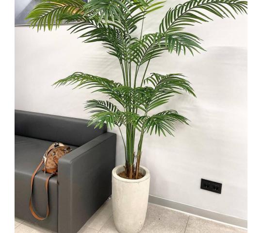 768157 картинка каталога «Производство России». Продукция Вазон бетонный маленький №151, г.Астрахань 2025 Фото 3 Вазон бетонный маленький №151, г.Астрахань 2025