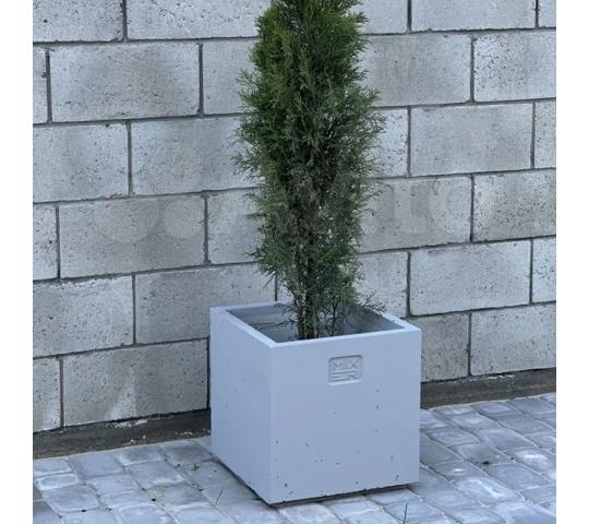 Фото 6 Вазон квадратный уличный «Куб Малый», г.Астрахань 2025