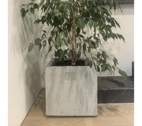 768211 картинка каталога «Производство России». Продукция Вазон квадратный бетонный №103, г.Астрахань 2025 Фото 6 Вазон квадратный бетонный №103, г.Астрахань 2025