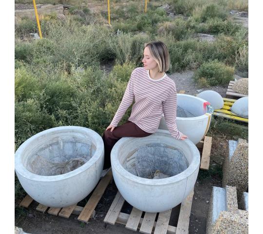 Фото 8 Вазон большой круглый «Чаша», г.Астрахань 2025