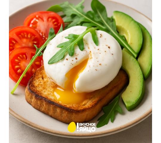 Фото 12 Птицеводческое предприятие «Выксунское», г.Выкса